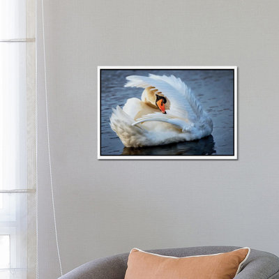Preening by David Gardiner - Print on Canvas
