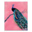 Reproduction de paon royal sur toile