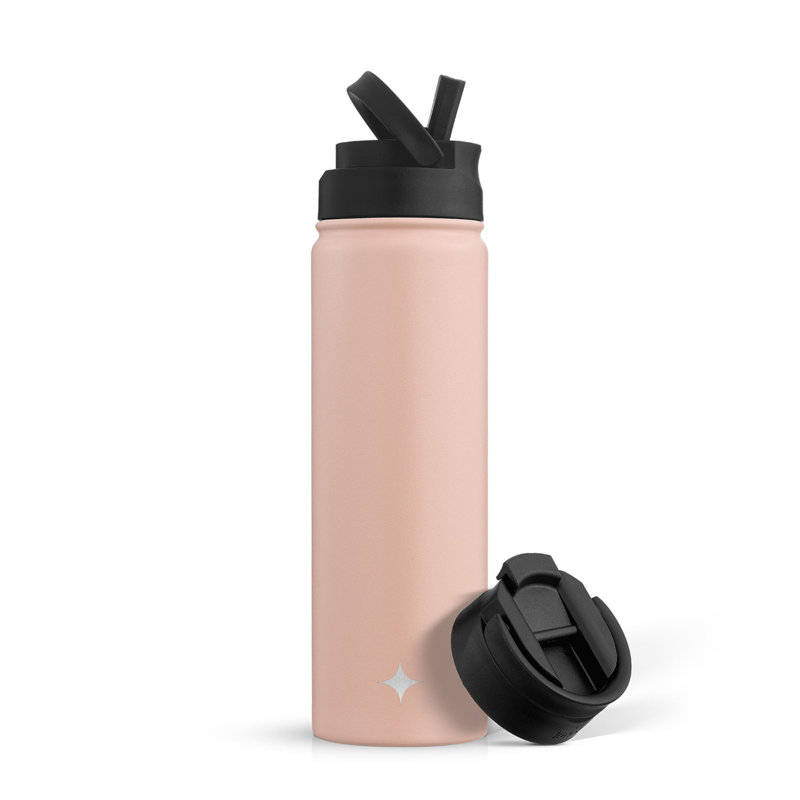 Bouteille d'eau triple isolée JoyJolt avec couvercle rabattable et couvercle en paille sport, 22 oz., Rose