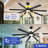 Lanh 80'' Ceiling Fan with LED Lights