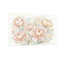 Plantes et fleurs, pivoines, fond pastel doux-1619208411