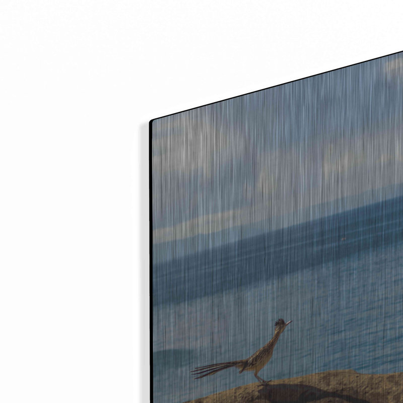 «Road Runner View» par Chris Moyer - impression sans cadre sur métal, H 16 po x l 24 po x P 0,13 po