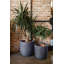 Pot Planter-69453575-69453579