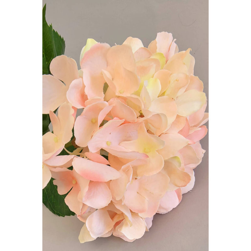 SPRAY D'HYDRANGEA