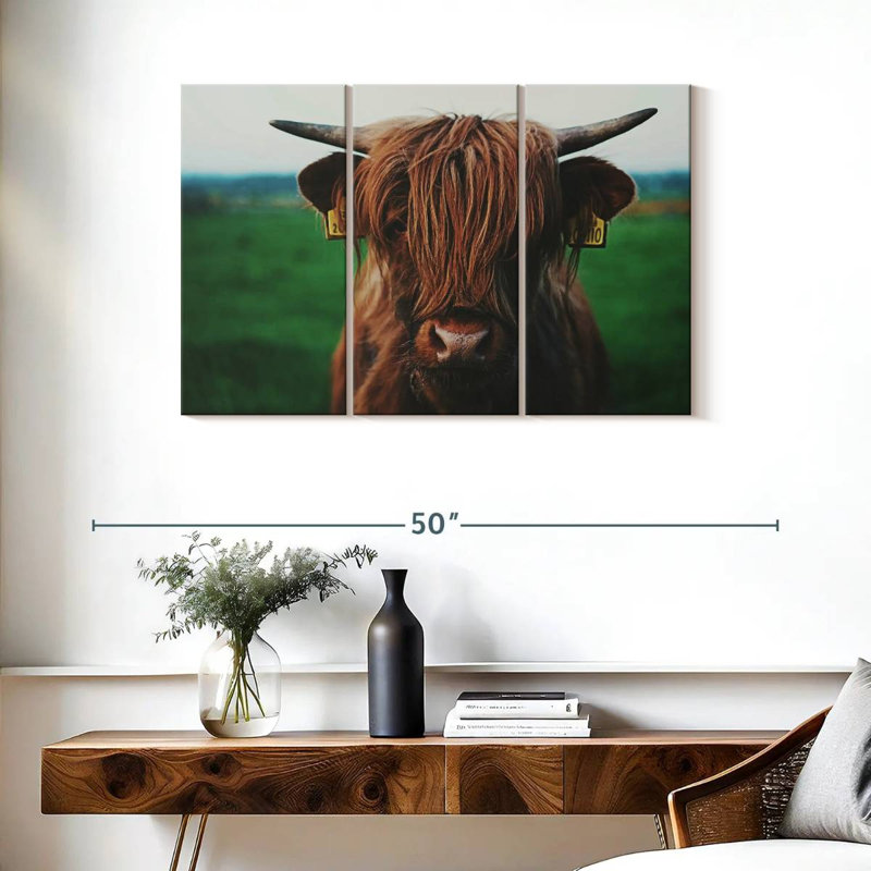Gros plan d'une vache Highland, H 24 po x l 38 po