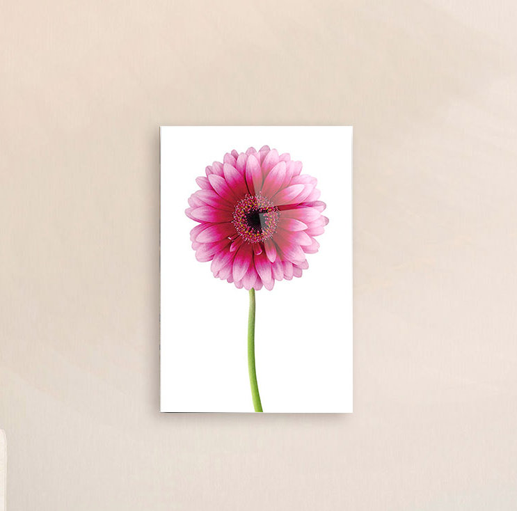 Art mural en acrylique rose marguerite, 20 po x 14 po