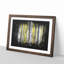 Yellow Birch Tree Forest - Picture Frame Graphic Art Print-56875979-56875970