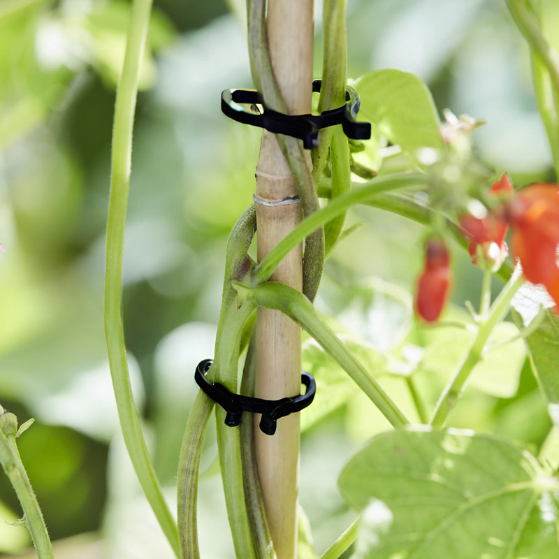 Plant Stand
