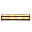 4 - Light Vanity Light