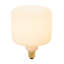 Oblo E26 LED Bulb