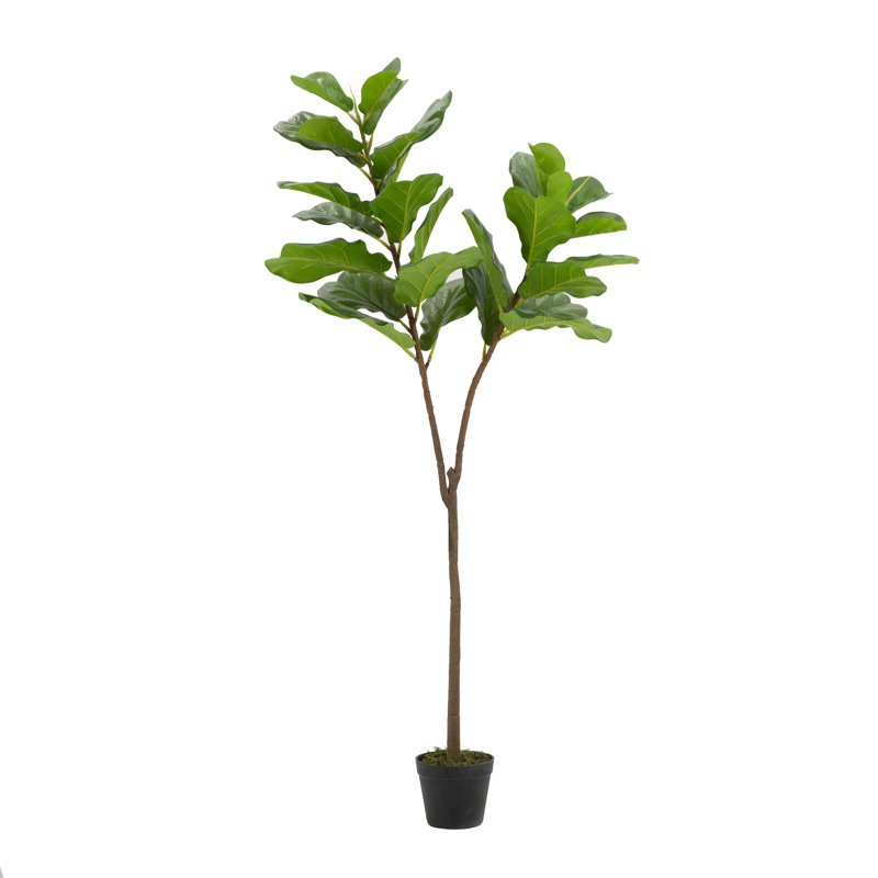 55.1'' Faux Fiddle Leaf Fig Tree in Cement Pot