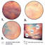 «Peach Sky Astral Symphony I» sur toile-2130416334-2130416335