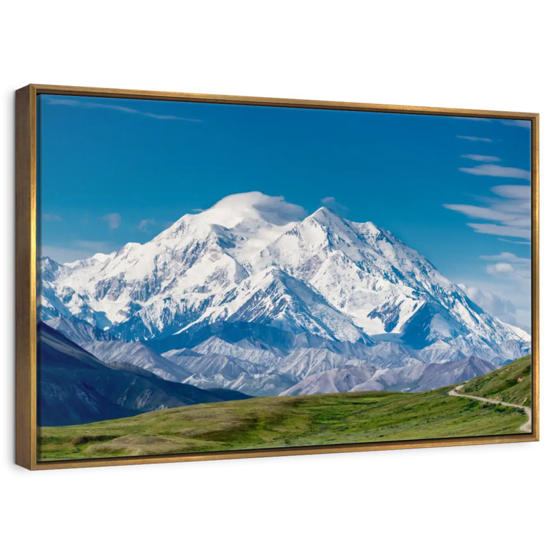 Mont McKinley Denali, 46 po x 31 po, Cadre flottant doré