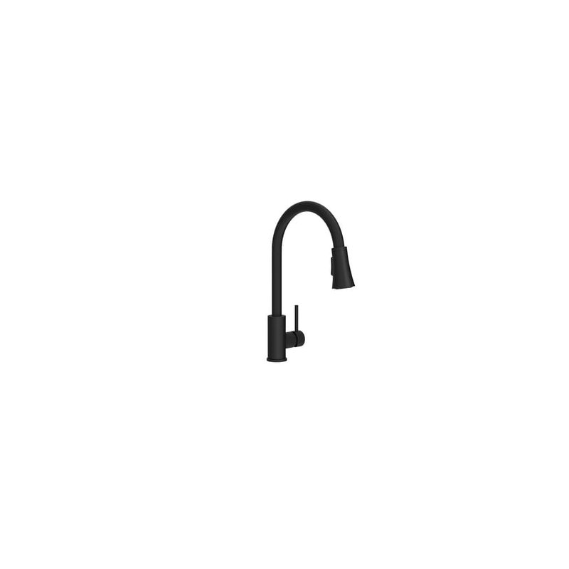 Proflo Kitchen Faucet, Matte Black