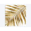 « palm close up i », impression sur toile dorée-29174302-72792673-72792668