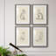 House Cat I - ensemble de 4 reproductions de cadres photo-739813373-739813372