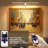 Remote Controlled  Dimmable Picture Light-1176678157