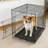 Foldable Metal Dog Cage with Plastic Tray