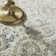 Carina Oriental Indoor Rug