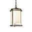 Meridian 1 - Bulb 15.7" H Mains Only Outdoor Hanging Lantern-470566493