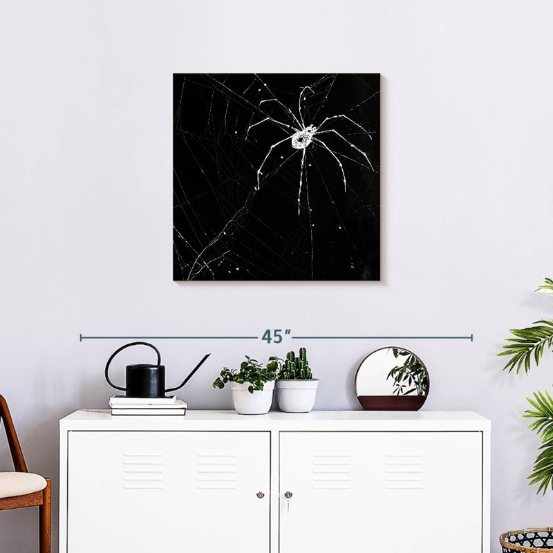 Brampt Halloween Spider, 24" H x 24" W
