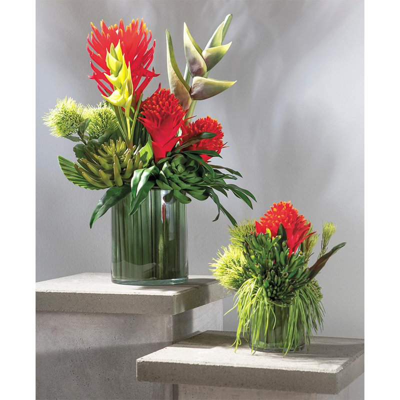 24,5H17W17 L L Protea / Bromelia (P