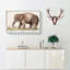 Asian Elephant by A.B. de Boodt - Wrapped Canvas-55316468