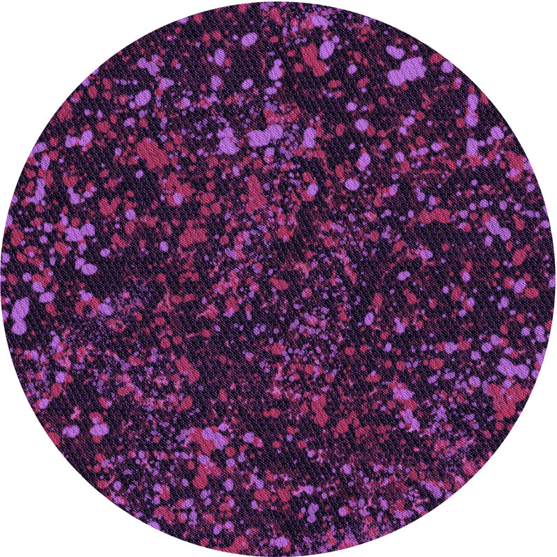 Tapis mauve, Rond 8 pi