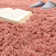 Joeann Performance Indoor Rug