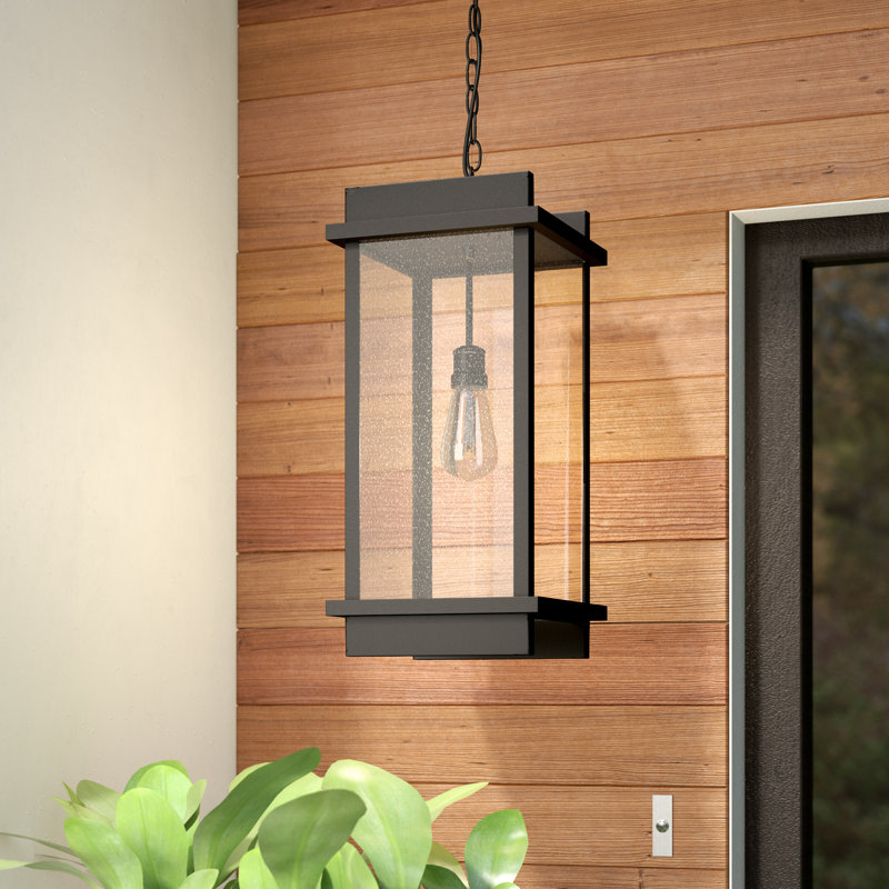 Lanterne suspendue d'extérieur Acuna 1-H 22,5 po, Noir