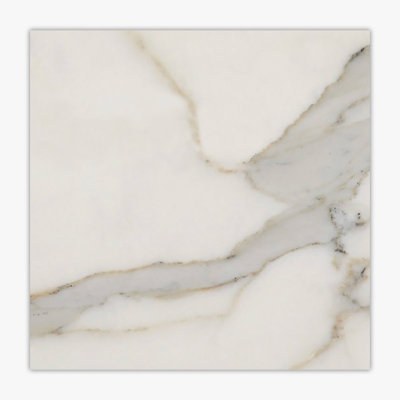 Calacatta Gold Standard Polished 12x12 Marble Tile