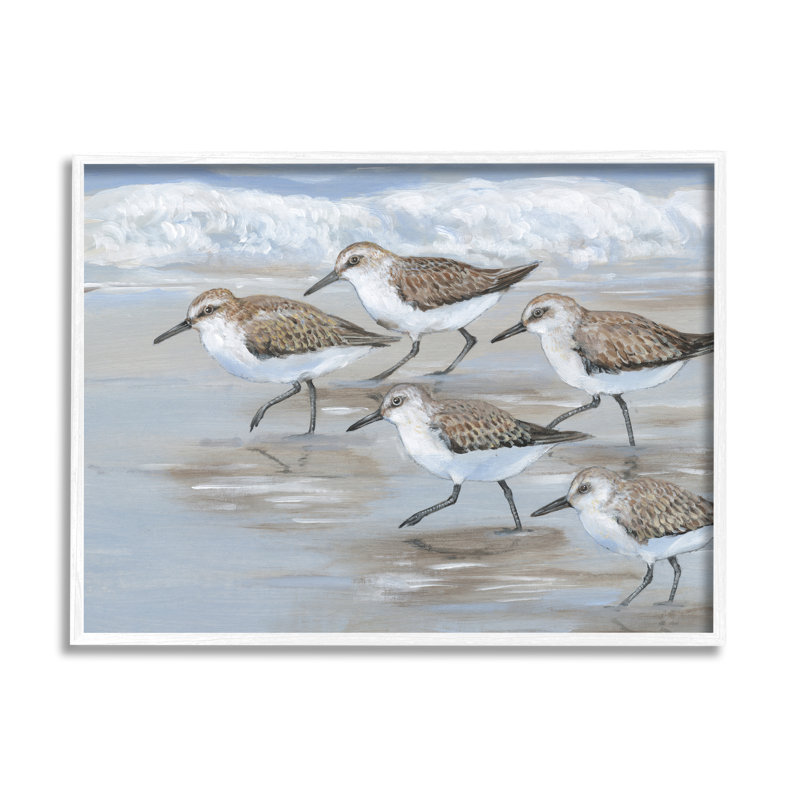 «Sandpiper Bird Flock Marching Beach Coast Waves», art mural sur toile tendue XXL par Tim Otoole, H 16 po x l 20 po