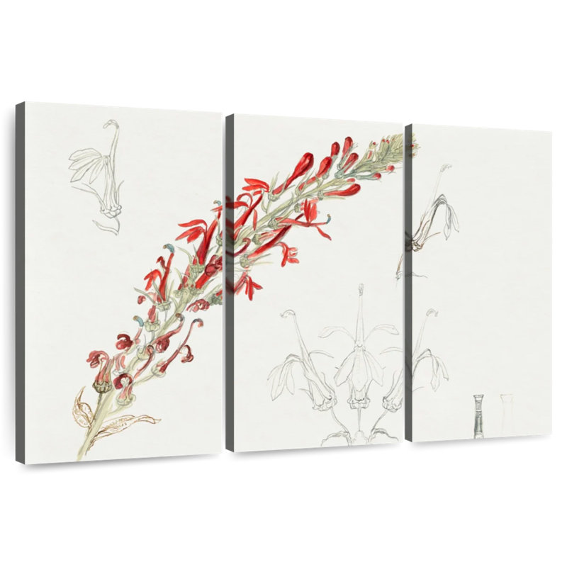 Fleur de cardinal Harnek, H 28 po x l 45 po