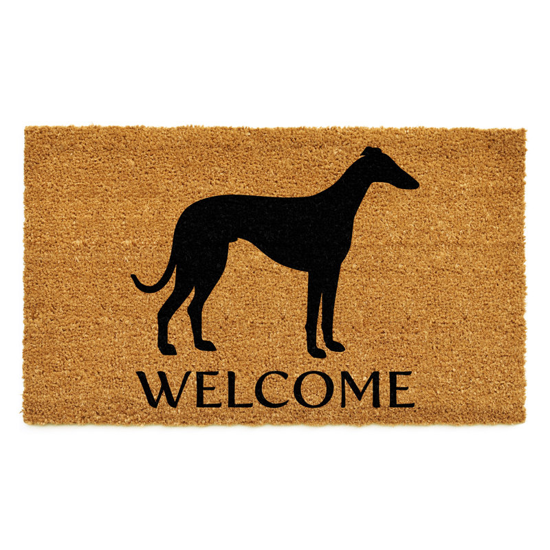 Tapis d'entrée antidérapant Whippet, l 24 po x L 36 po