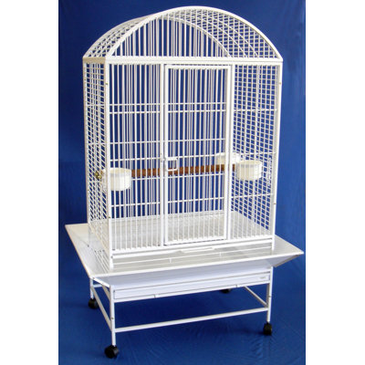 Cage à oiseau large perroquet top dome