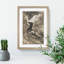 Two Swimming Ducks by Theo Van Hoytema - Picture Frame Painting-62792723-62792725