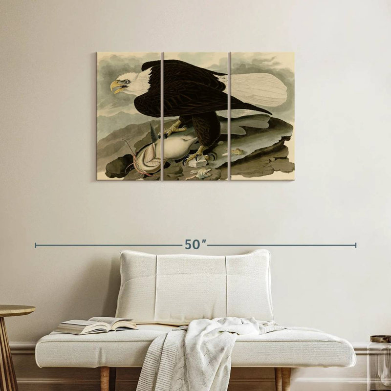 Brampt Whiteheaded Eagle, 24" H x 38" W