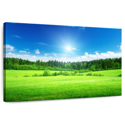 Alvord Spring Green Field