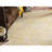 Aquene Performance Oriental Rug-968926606