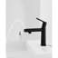 Robinet pour salle de bain à poignée simple noir mat, montage sur comptoir à 1 trou, fonctionnalité de débit et de fontaine, égratignure, conservation de l'eau, robinet d'évier à installation simple, mode double, installation-124831697