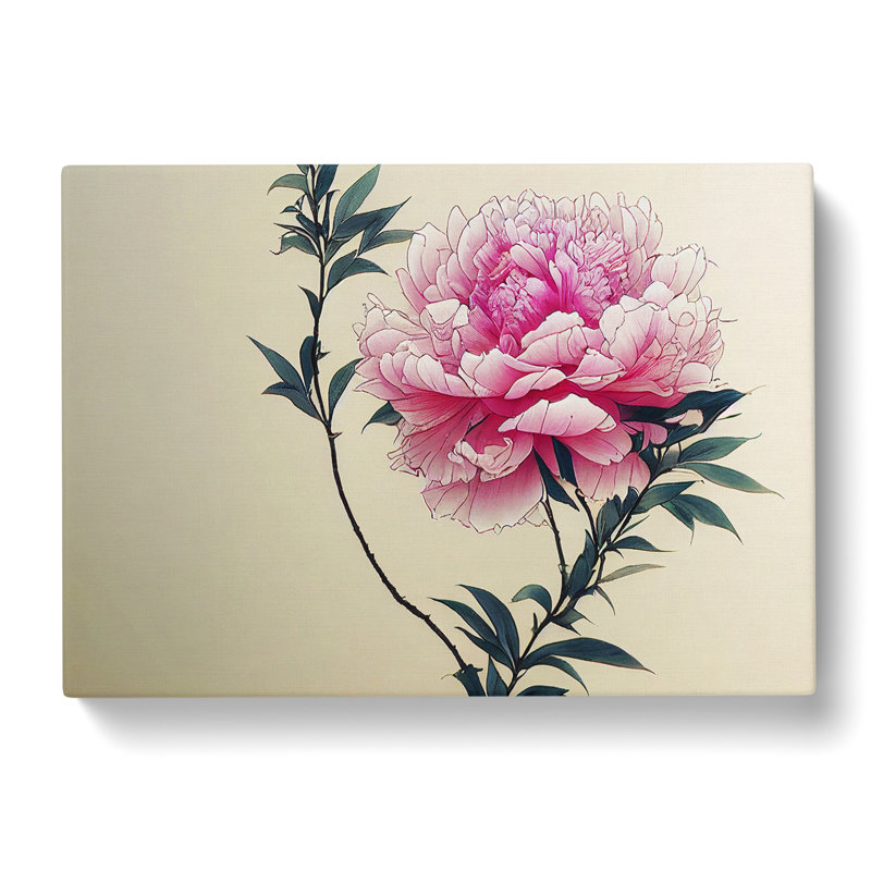 Intriguing Peony Flowers - Wrapped Canvas, 40cm H x 60cm W x 3cm D