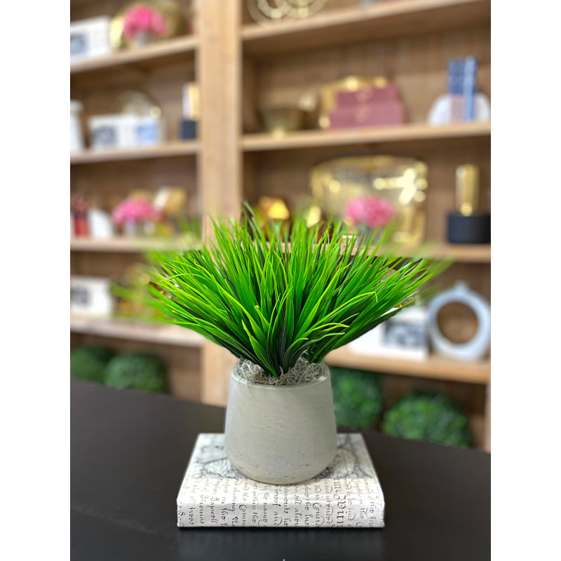 Vanilla Grass Arranged In A Fiberstone Pot