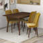Ensemble de salle à manger 5 pièces Adelphie Mid-Century avec 4 chaises en velours-1800446020