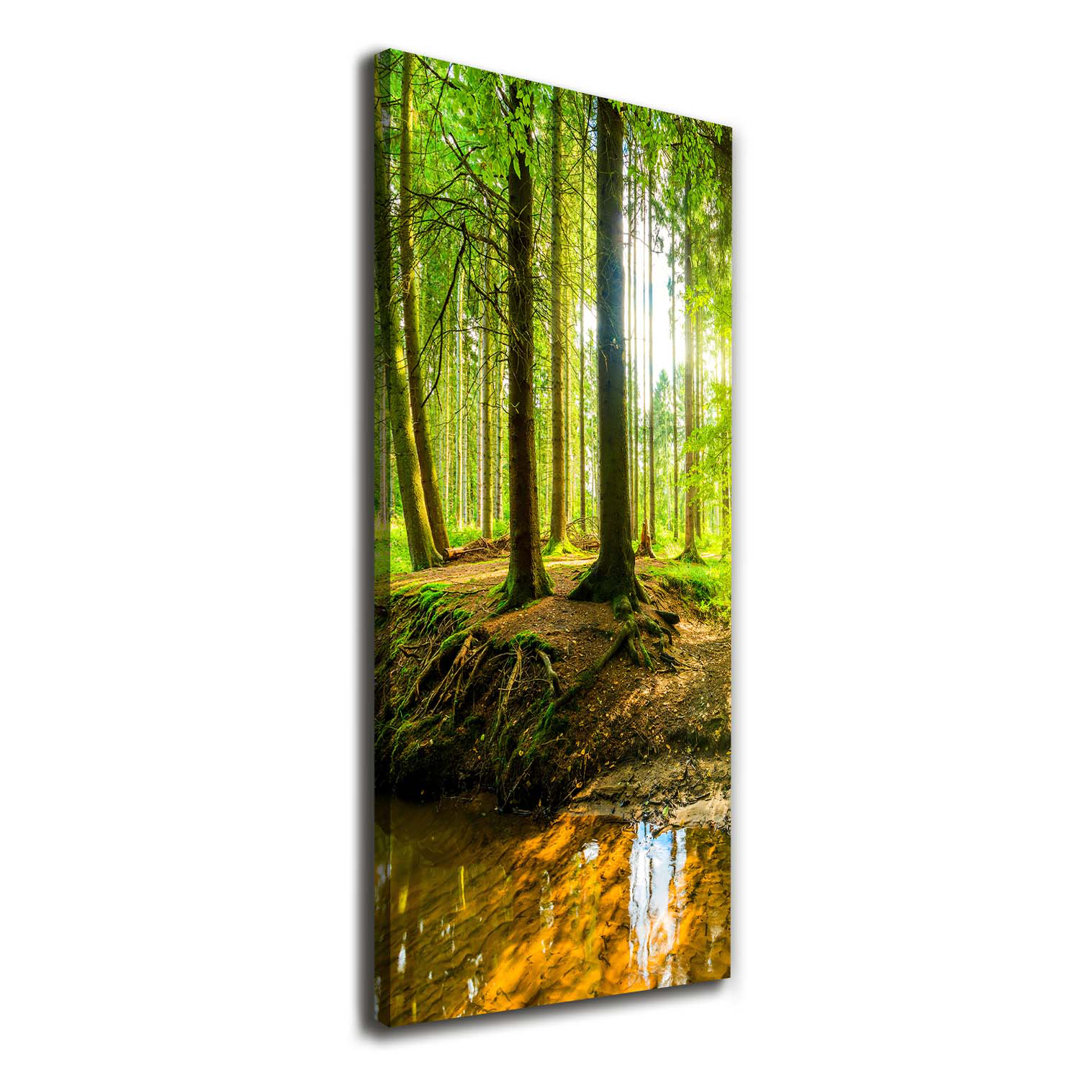 Stream In The Forest - Kunstdrucke auf Leinwand