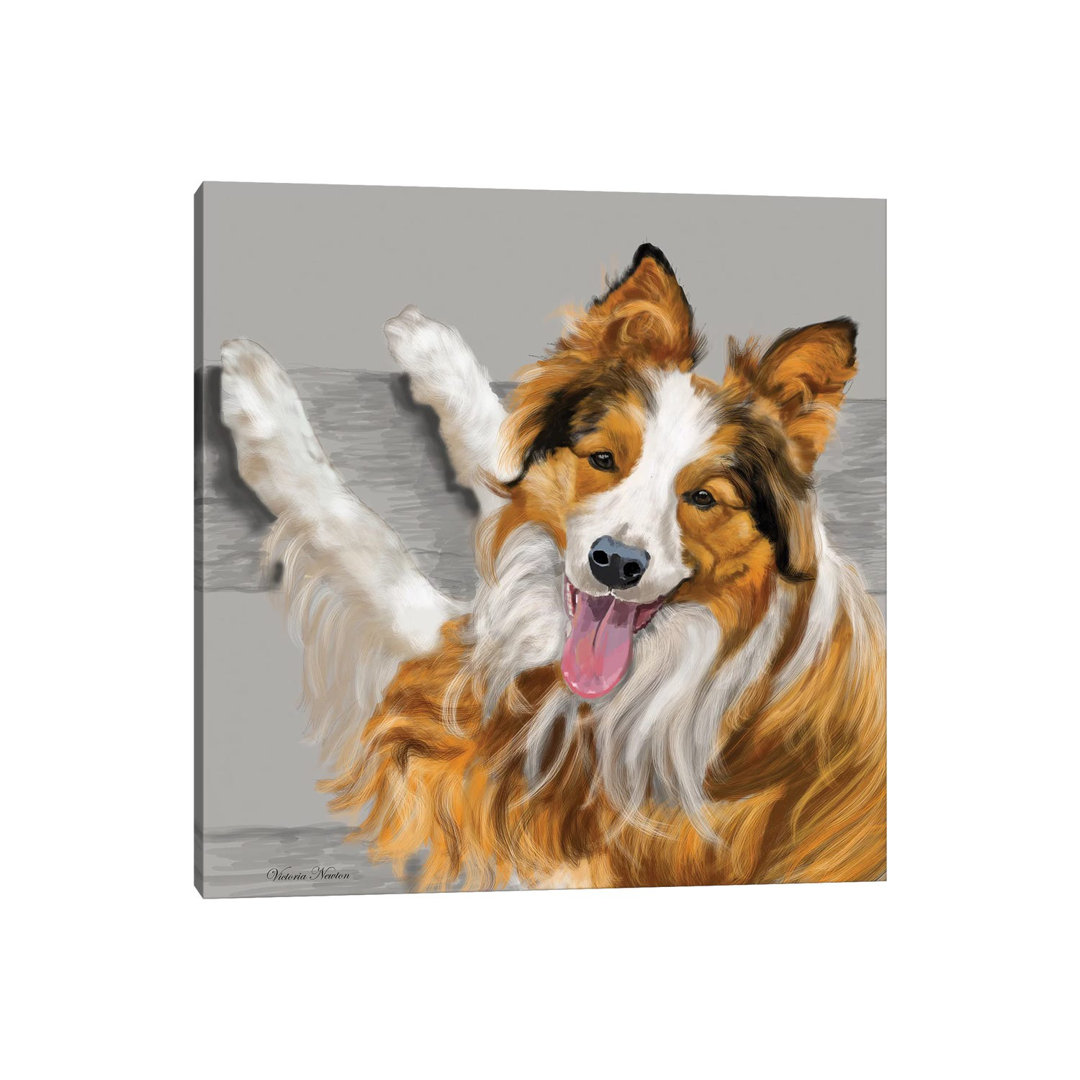 Collie von Vicki Newton - Galerie-verpackte Leinwand Giclée