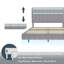 Upholstered Bed