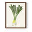 Reproduction encadrée Organic Veg II - bois massif-417907408-417907423