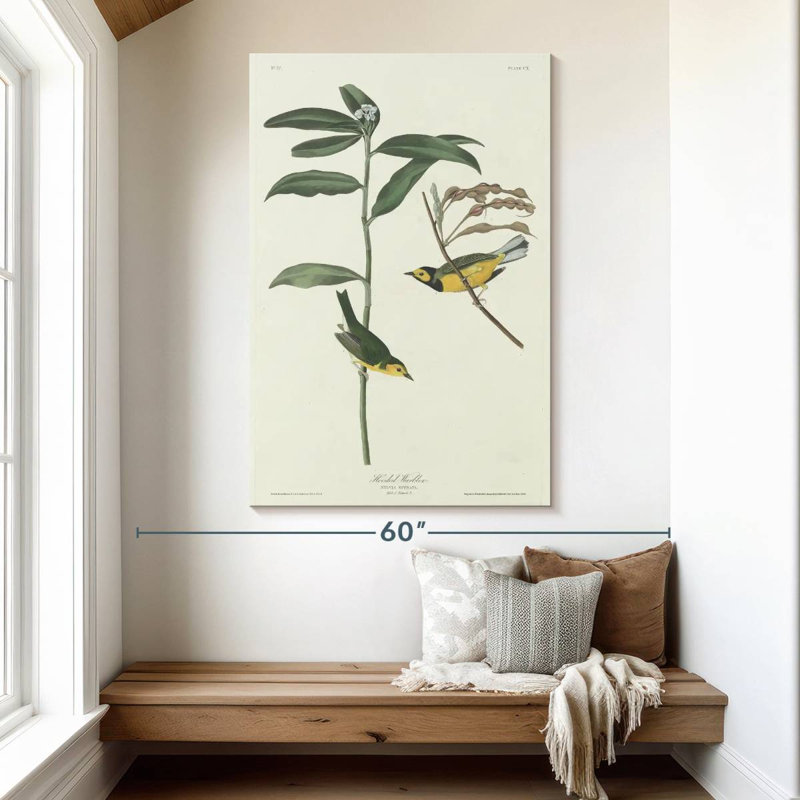Keiri Hooded Warbler, 51" H x 34" W