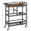 Metal Bar Cart