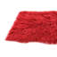 Tapis rouge Kalmanovitz